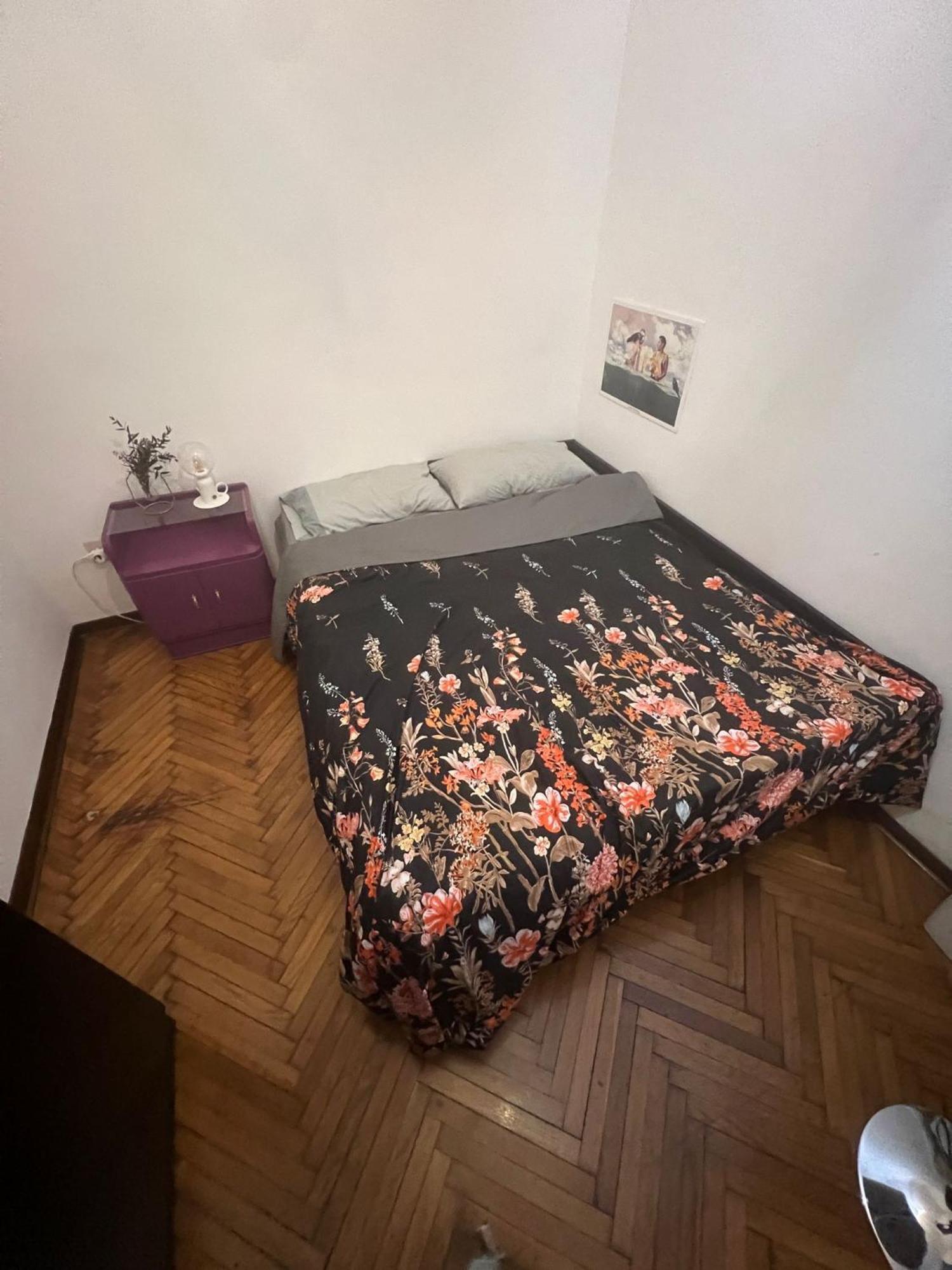トリエステ La Vie De Boheme Bed & Breakfast エクステリア 写真